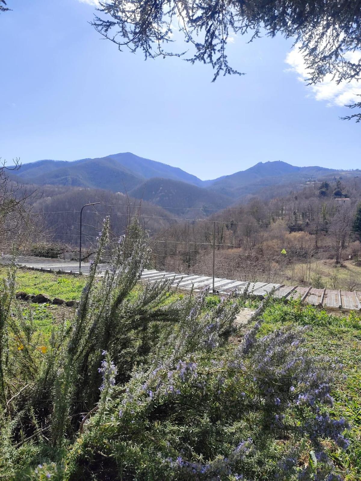 Casa Louisa Bed & Breakfast Serralongue Dış mekan fotoğraf